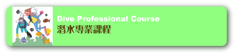 ダイブプロフェッショナルコース