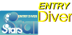 STARS ENTRY DIVER